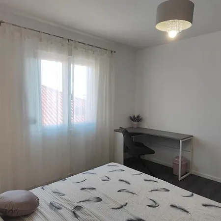 Gold And Silver Zadar